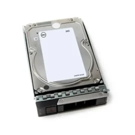 Dell 24TB 7.2K SAS-12Gbps 512e 512MB 3.5inch Hot-Plug Hard Drive 161-BCNM